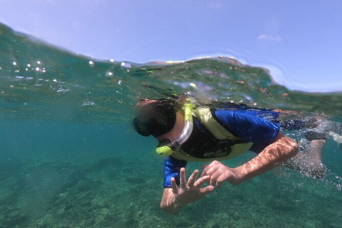 Kauai's Ultimate Guided Shore Snorkel (NO BOAT): North Anini - Discovering Kauai’s Best Snorkeling: The Shore Adventure at Anini Beach