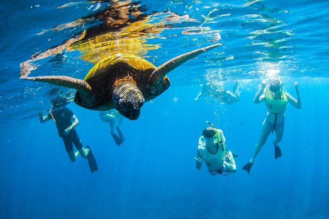 Kauai's Ultimate South Island Zodiac Boat Snorkel Adventure - A Closer Look at the Kauai Zodiac Snorkel Adventure