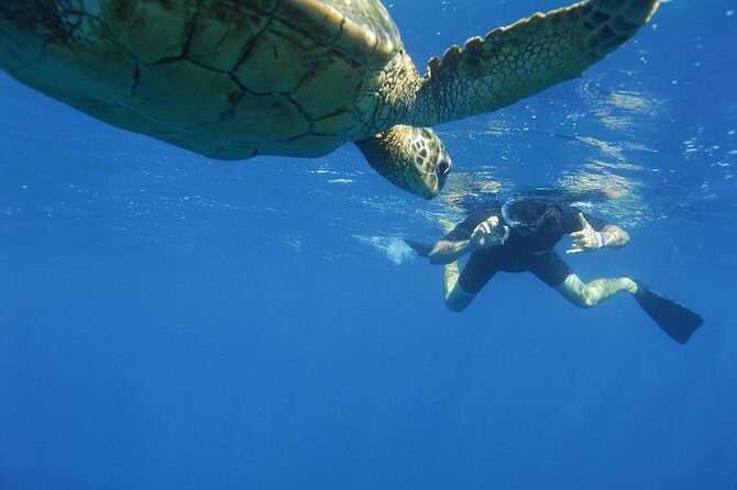 Kauai's Ultimate South Island Zodiac Boat Snorkel Adventure - Frequently Asked Questions