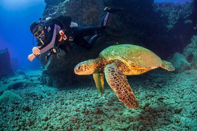 Kauai's Ultimate South Shore 2 Tank Dive (Certified Divers Only) - Frequently Asked Questions