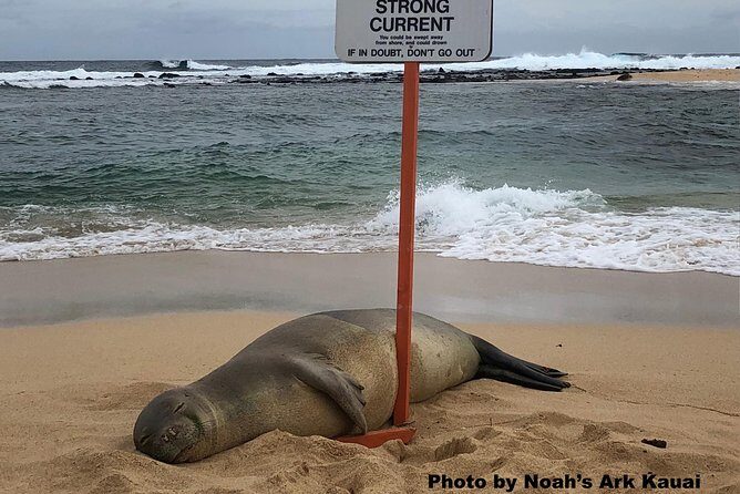 Kauai's Waimea Canyon and South Side Private Guided Tour - Final Thoughts