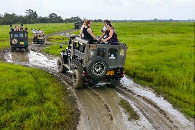 Kaudulla Jeep Safari & Dambulla Day Tour From Trincomalee - Key Points