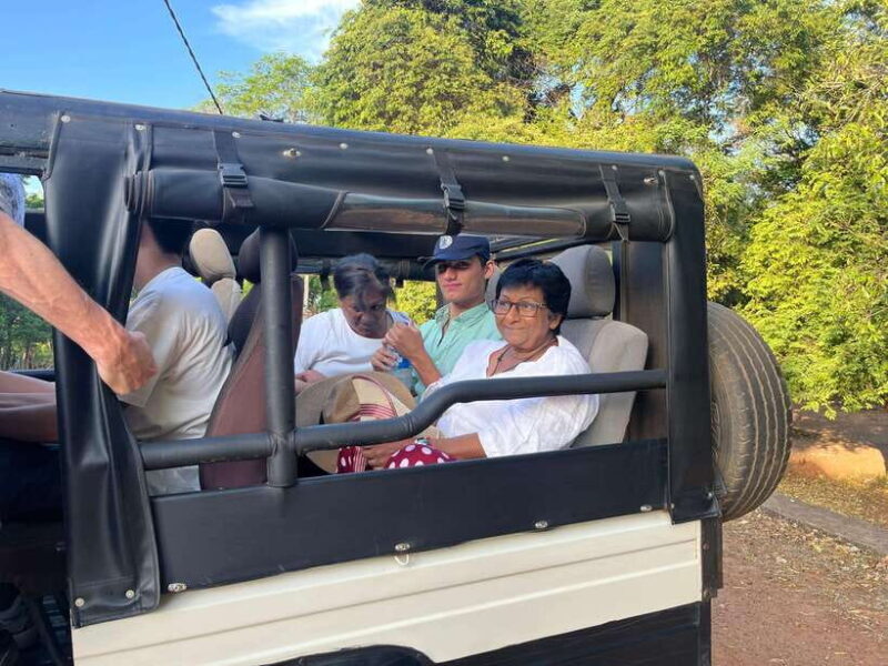 Kaudulla National Park: Elephant Safari Jeep Tour - An In-Depth Look at the Kaudulla Elephant Safari