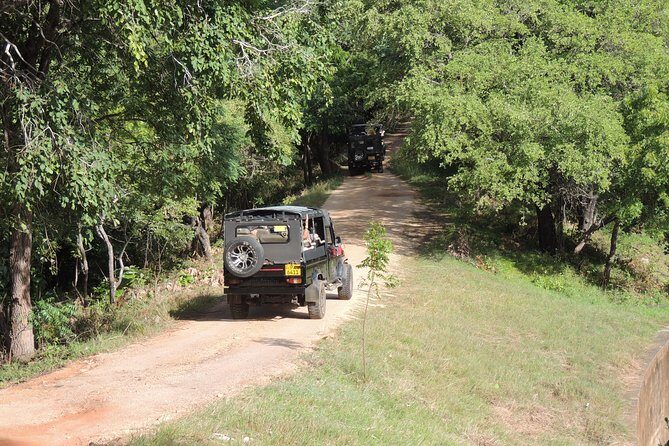 Kaudulla National Park Entrance Ticket with Private Safari - Final Thoughts