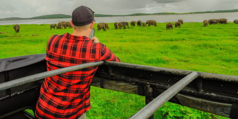 Kaudulla National Park Half Day Sri Lanka Jeep Safari - An Authentic Wildlife Adventure at Kaudulla National Park