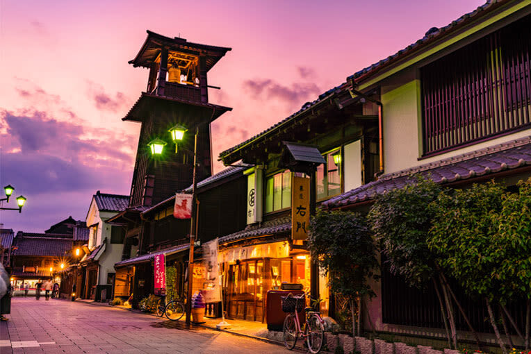 Kawagoe Little Edo Customized Private Day Tour | Departing from Tokyo - Adding Ashikaga Flower Park
