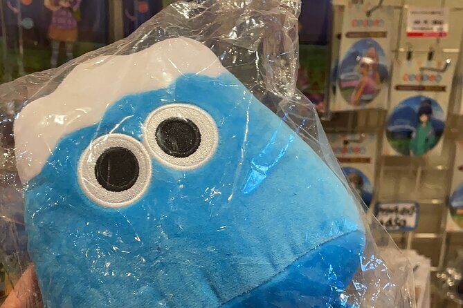 Kawaguchiko (Mt Fuji) Tour with Private Car - The Real Value of This Tour