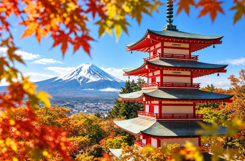 (Kawaguchiko Ropeway ticket included) Mount Fuji Kawaguchiko Internet-famous Check-in Day Tour: Kawaguchiko Tenjo-Yama Park, Internet-famous Lawson Convenience Store, Arakurayama Sengen Park, Oshino Hakkai (Departing from Tokyo / Chinese and English servi - Tenjo-yama Park and the Kawaguchiko Ropeway