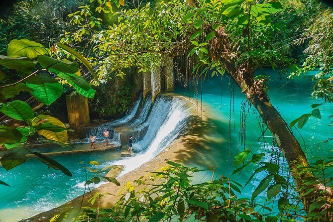 Kawasan Canyoneering, Kawasan Falls and Whaleshark Encounter - A Practical Guide to Cebu’s Must-Do Adventure