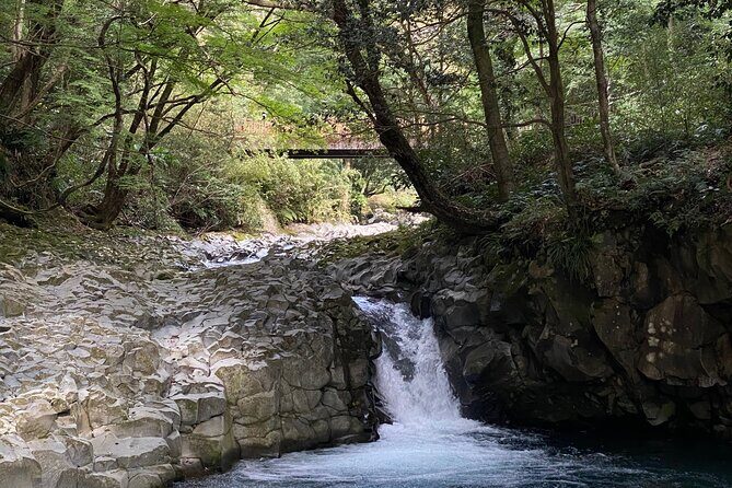 Kawazu Seven Falls Guided Tour - Key Points