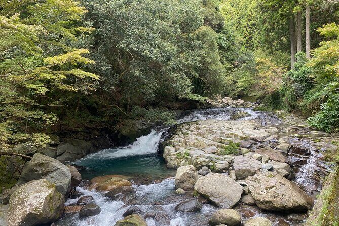 Kawazu Seven Falls Guided Tour - Who Would Enjoy This Tour?