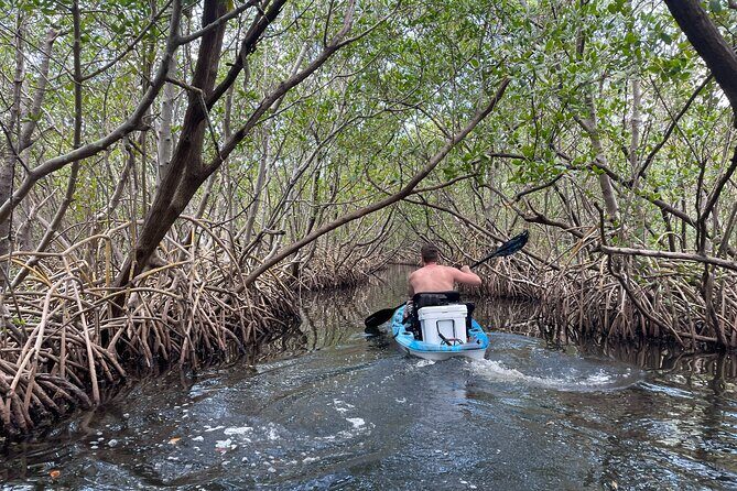 Kayak Adventure at Shell Key Preserve in Tierra Verde - Key Points