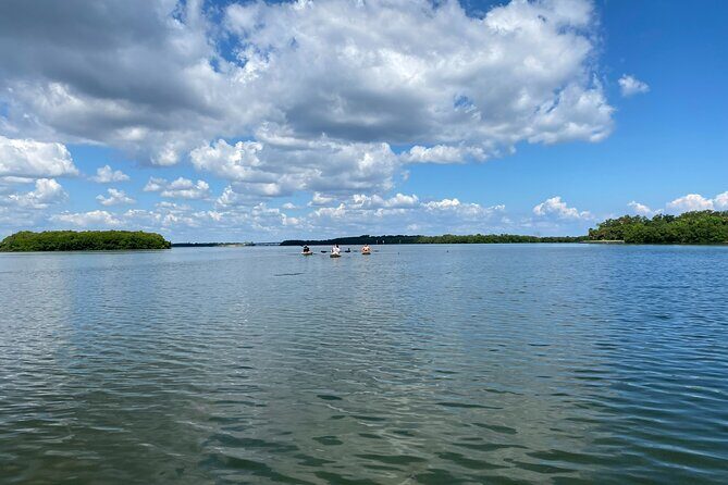 Kayak Adventure at Shell Key Preserve in Tierra Verde - Who Should Consider This Tour?