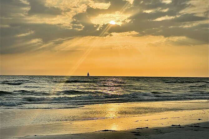 Kayak Adventure at Shell Key Preserve in Tierra Verde - Final Thoughts
