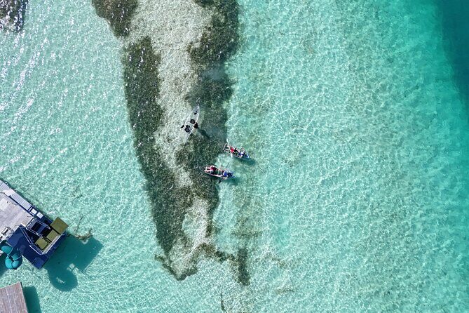 Kayak Adventure, Conch Dive & Local Rum Tasting Grand Turk - Final Thoughts