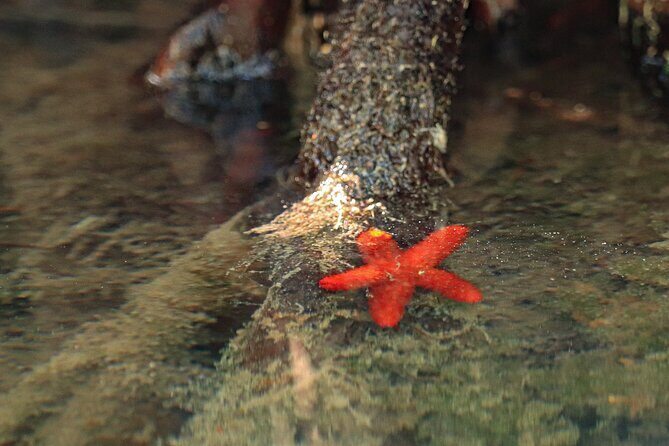 Kayak Adventure in Cancun - Final Thoughts