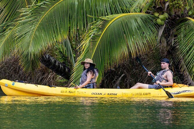 Kayak Adventure on the Roseau River in St Lucia - A Detailed Look at the Kayak Adventure on the Roseau River