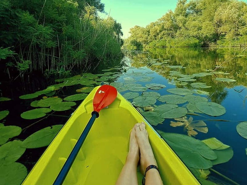 Kayak Adventure: Paddle your way through Lake Skadar - Kayak Adventure: Paddle your way through Lake Skadar