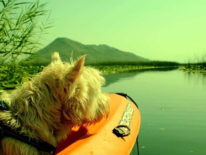 Kayak Adventure: Paddle your way through Lake Skadar - Key Points