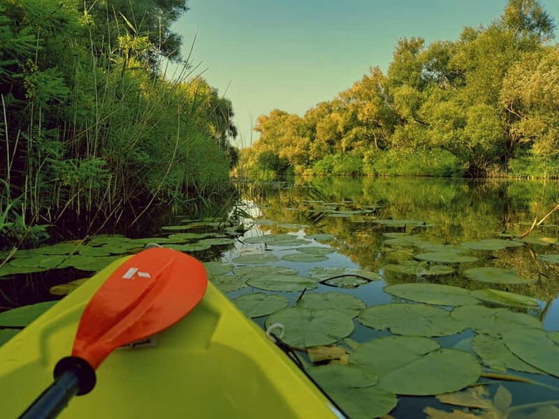 Kayak Adventure: Paddle your way through Lake Skadar - Who Would Love This Tour?