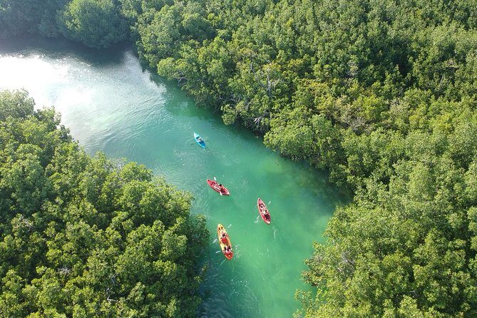 Kayak adventure through Laguna Nichupté in Cancun - Who This Tour Is Best For