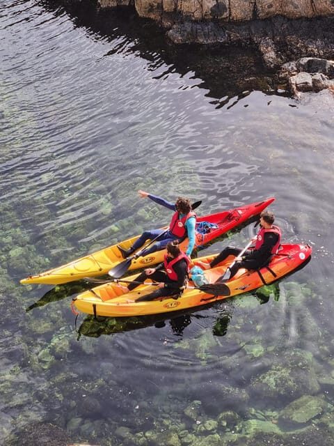 Kayak and snorkel Tour Platja d'Aro - Who Will Love This Tour?