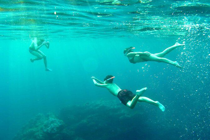 Kayak and Snorkel with Sunset in Ibiza - Key Points