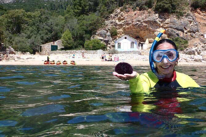 Kayak and Snorkeling Adventure in Arrabida - An In-Depth Look at the Tour