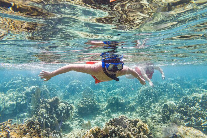 Kayak and Snorkeling Adventures in West End - Kayak and Snorkeling Adventures in West End: An In-Depth Review