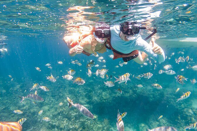 Kayak and Snorkeling Adventures in West End - Exploring Roatan’s Waters: A Detailed Look at the Tour