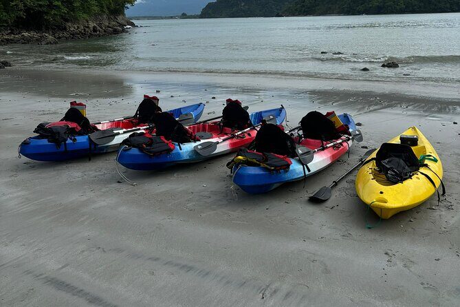 Kayak and Snorkeling Tour in Manuel Antonio - Who Will Love This Tour?