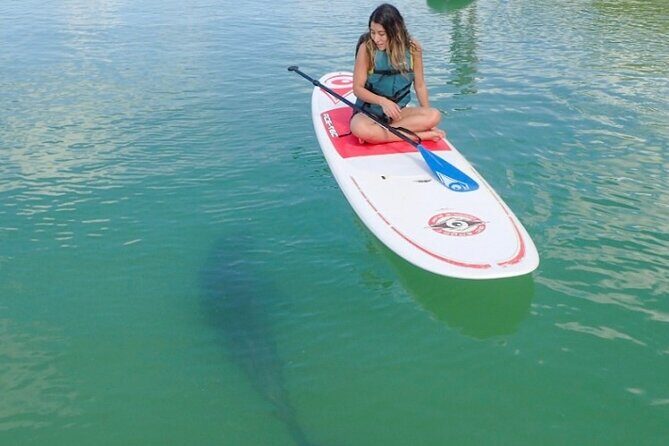 Kayak and SUP Rentals - Big Hickory Island - Fort Myers Beach, FL - An Authentic Paddle Experience at Big Hickory Island