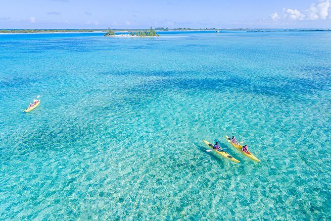 Kayak Eco Tour - Experience the Kayak Eco Tour in Providenciales, Turks and Caicos
