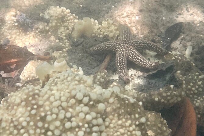 Kayak Eco Tour in Don Pedro Island - Final Thoughts