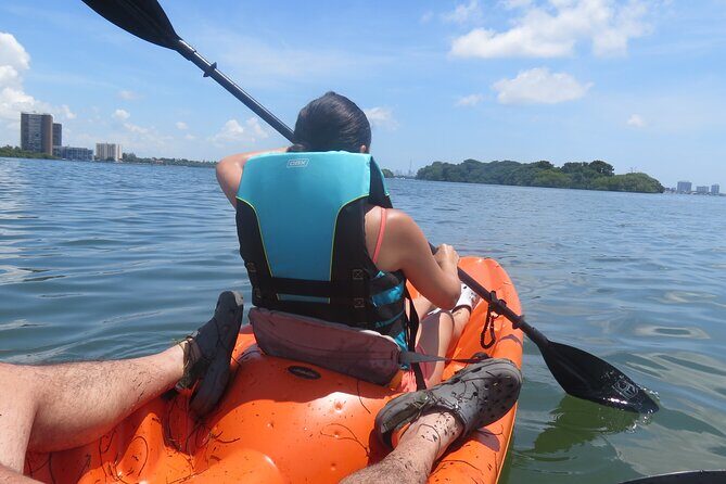 Kayak Eco tourism in Miami Bay - Key Points