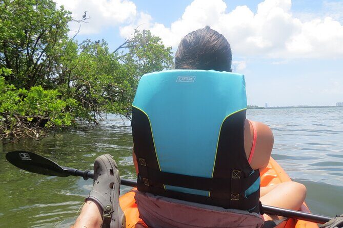 Kayak Eco tourism in Miami Bay - FAQs