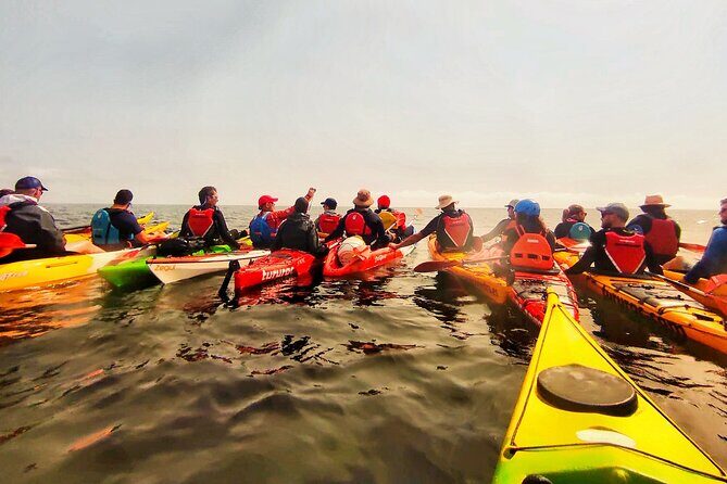 Kayak excursion to Cova dels Coloms from Platja Mascarat - FAQ