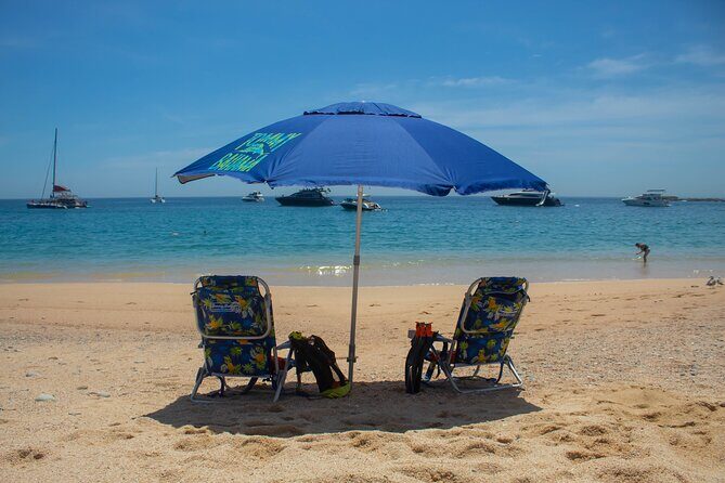 Kayak from Viudas Beach to Chileno Bay & Snorkel + Beach Time - Who Should Consider This Tour?