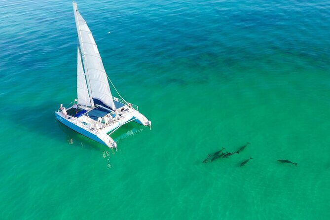 Kayak + Guided Snorkel & Morning Sail hosted by Honest Eco - Discover Key West’s Waters with Honest Eco’s Kayak + Guided Snorkel & Morning Sail