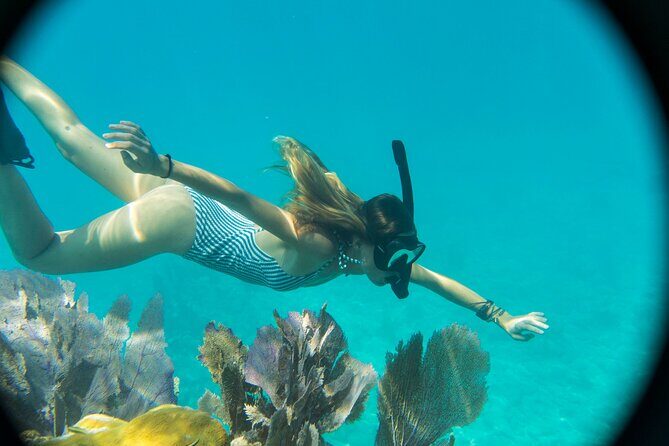 Kayak + Guided Snorkel & Morning Sail hosted by Honest Eco - Key Points