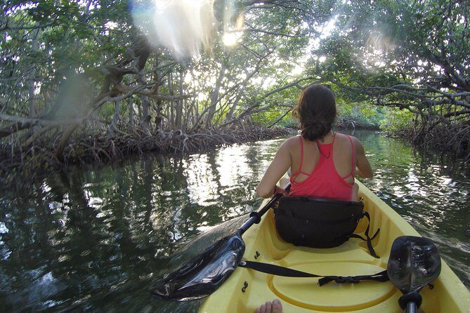 Kayak + Guided Snorkel & Morning Sail hosted by Honest Eco - Summary: Is This Tour Right for You?