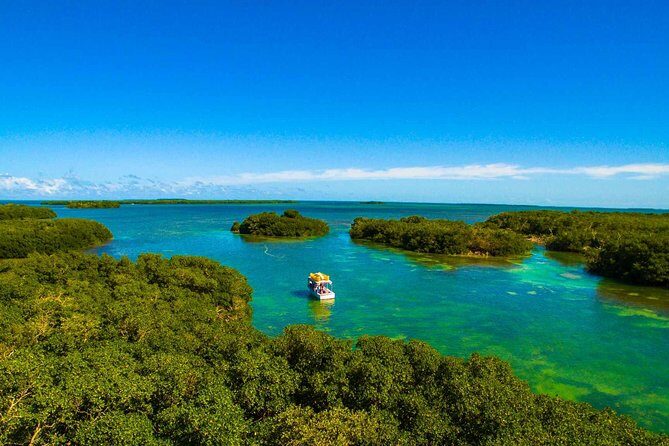 Kayak + Guided Snorkel & Morning Sail hosted by Honest Eco - Frequently Asked Questions