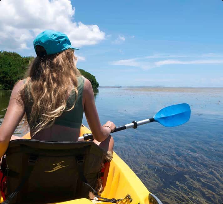 Kayak + Guided Snorkel & Morning Sail - Discover the Unforgettable Kayak, Snorkel, & Morning Sail Tour in Key West