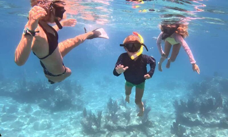 Kayak + Guided Snorkel & Morning Sail - Why this tour provides great value