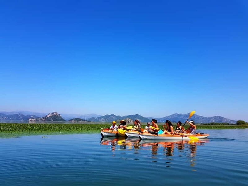 Kayak Guided Tour Skadar lake - Adventure in National park - Key Points