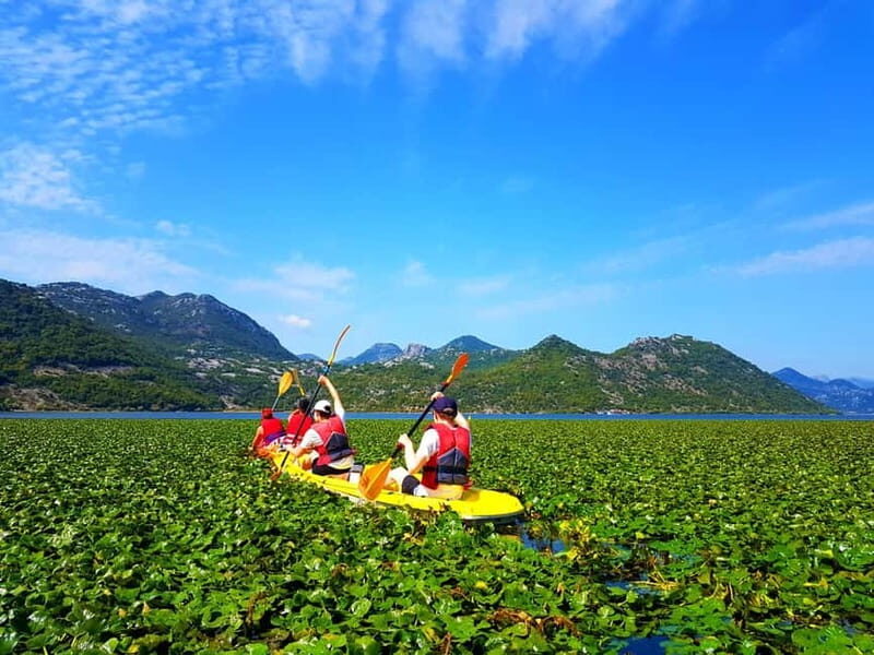 Kayak Guided Tour Skadar lake - Adventure in National park - The Sum Up