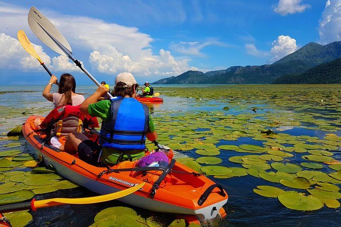 Kayak Guided Tour Skadar lake - Adventure in National park - Kayak Guided Tour Skadar Lake - Adventure in National Park