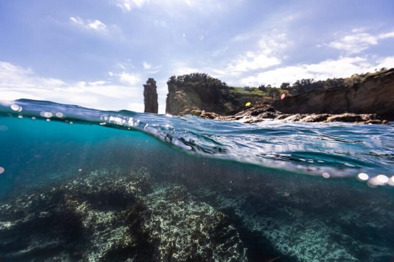 Kayak Guided Tour: Vila Franca do Campo Islet - Final Thoughts: Is This Tour Worth It?