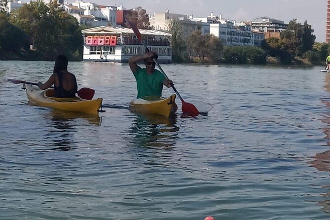 Kayak Guided Tours - Who Should Consider This Tour?