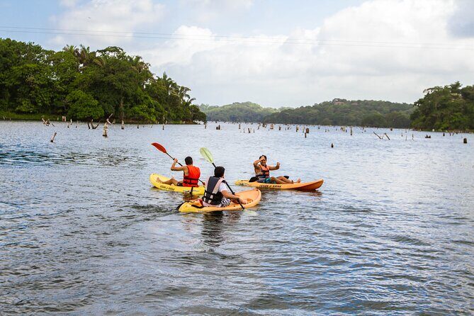 Kayak & Horseback Riding in the Jungle - Who Should Consider This Tour?